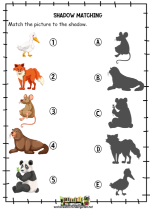 Free printable Shadow Matching Worksheets PDF