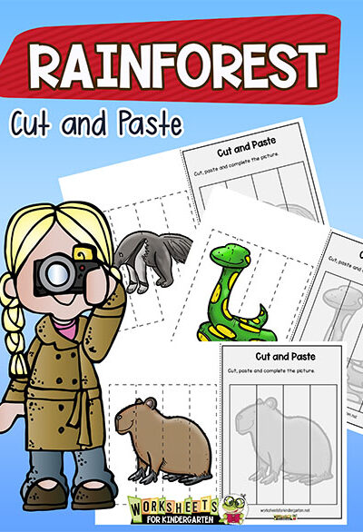 Rainforest Cut And Paste Rainforest Cut And Paste